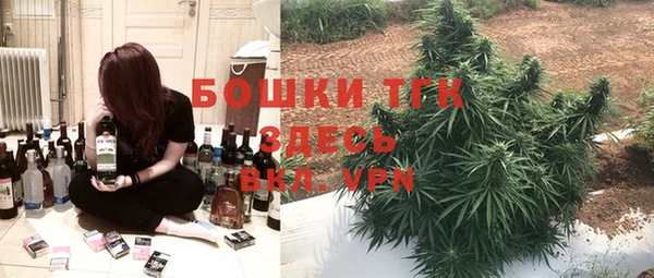 герыч Бородино