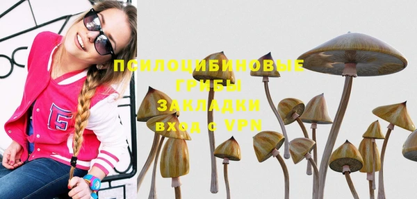 герыч Бородино