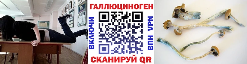 Галлюциногенные грибы прущие грибы  Цивильск 